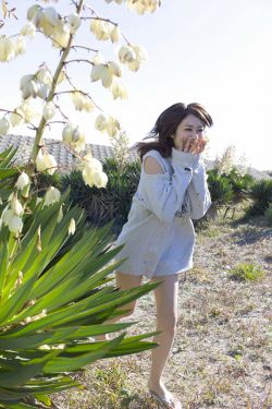 女娇续集婷婷小说在线阅读